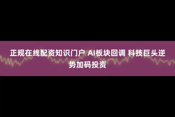 正规在线配资知识门户 AI板块回调 科技巨头逆势加码投资