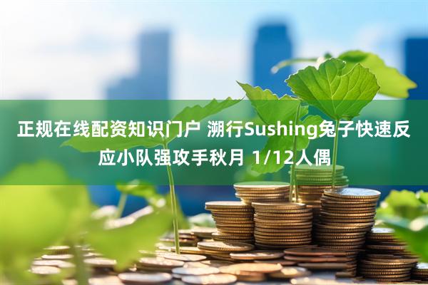 正规在线配资知识门户 溯行Sushing兔子快速反应小队强攻手秋月 1/12人偶