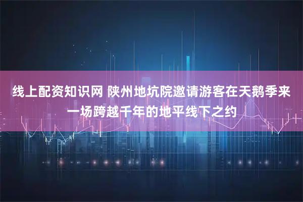 线上配资知识网 陕州地坑院邀请游客在天鹅季来一场跨越千年的地平线下之约